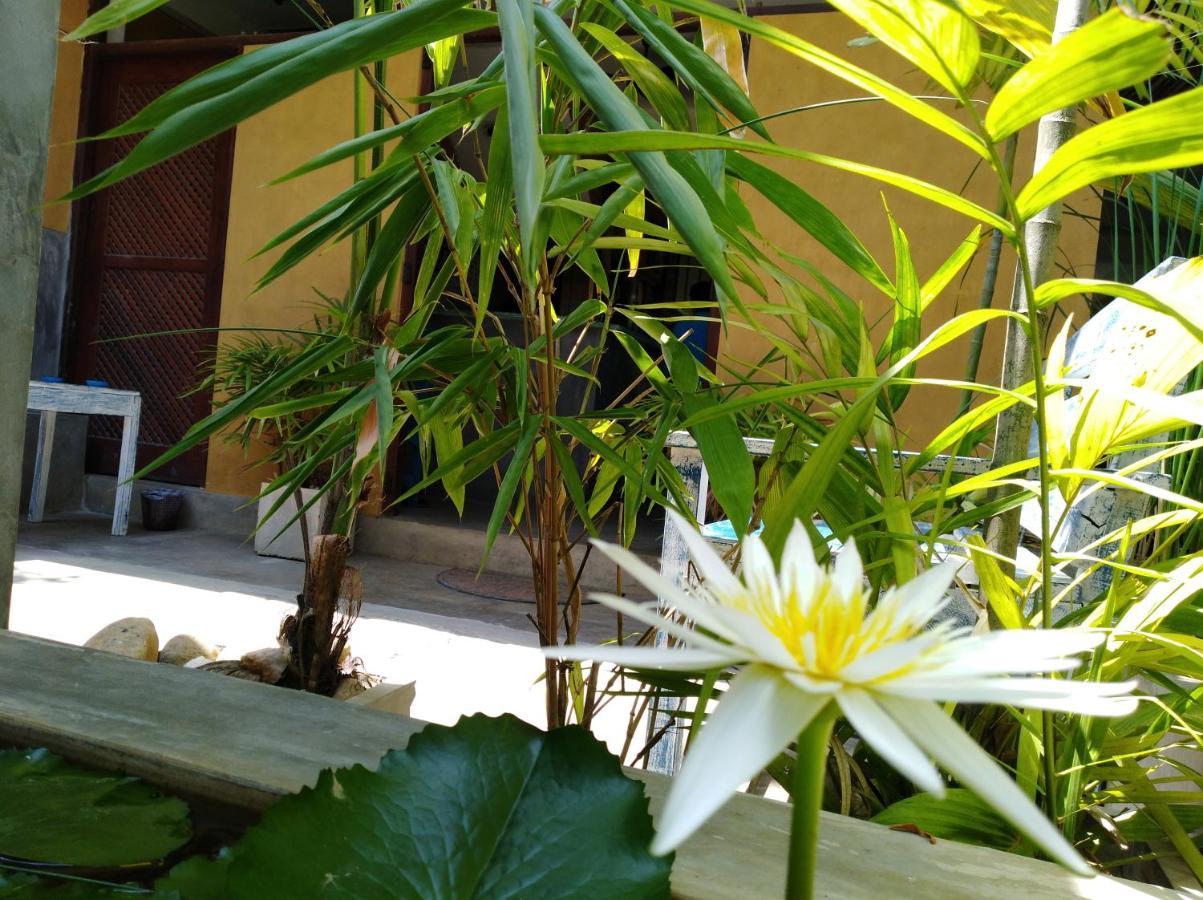 Cycling Backpacker Hostel & Cafe Unawatuna Exterior foto